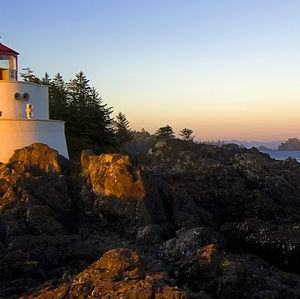 Meet your Posher, Tiana